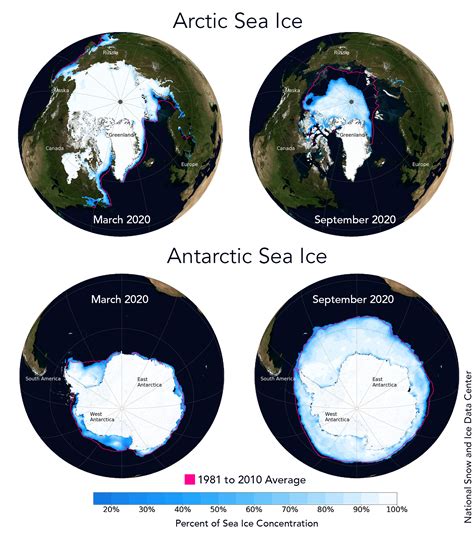 arctic and antartic|Iba pa.